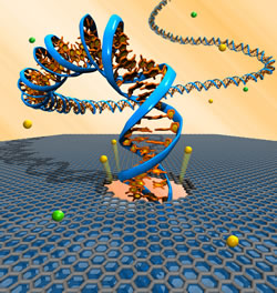 DNA illustration. Image courtesy of Robert Johnson, University of Pennsylvania