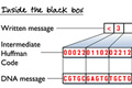 DNA encoding