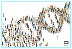 DNA helix shape made of people icons