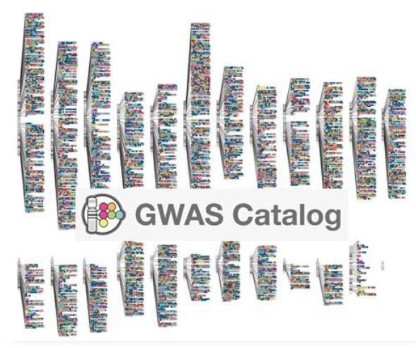 GWAS Catalog