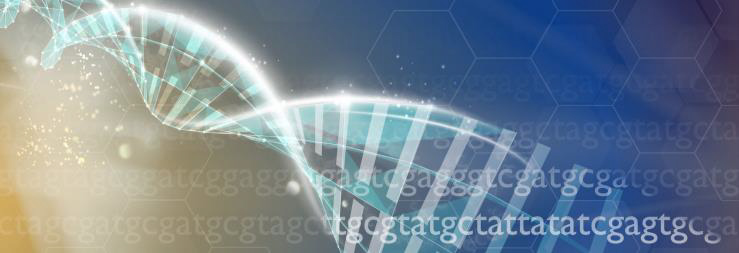 RNA Transcripts