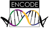 ENCODE