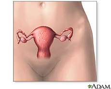 Illustration of the female reproductive system. Courtesy National Library of Medicine
