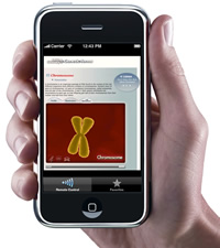 A hand holding a smart phone with the app on the screen