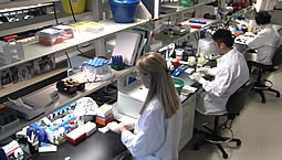 In the lab, at NHGRI