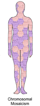 Chromosomal mosacism