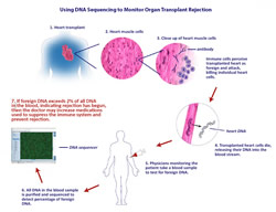 Using DNA Sequencing to Monitor Organ Transplant Rejection. Click on the image to enlarge