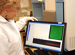 Sequencing technician viewing the results on a monitor