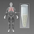 Human body and a lab tube