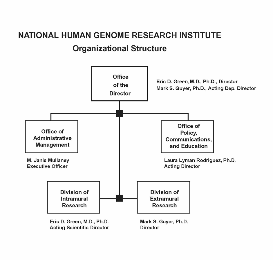 NHGRI Organizational Structure Chart.  The chart shows 5 boxes, the Office of the Director box at the top with 4 boxes underneath - one for the Office of Administrative Management (OAM), one for the Office of Policy, Communications, and Education (OPCE), one for the Division of Intramural Research (DIR), and one for the Division of Extramural Research (DER).  The Director is Eric D. Green, M.D., Ph.D..  Acting Deputy Director is Mark S. Guyer, Ph.D.  The Director's 4 reports are: M. Janis Mullaney, Executive Officer; Laura Lyman Rodriguez, Ph.D., Acting Director of OPCE; Eric D. Green, M.D., Ph.D., Acting Scientific Director for NHGRI; and Mark S. Guyer, Director of the Division of Extramural Research.