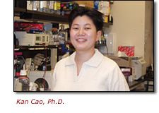 Kan Cao, Ph.D.