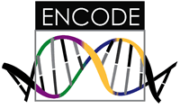ENCODE logo
