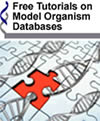 Free Tutorials on Model Organism Databases