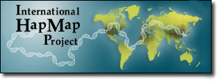 International HapMap Project Logo