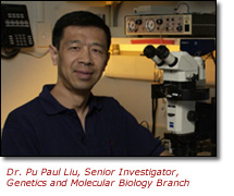 Photo of Dr. Pu Paul Liu