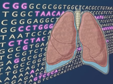 Illustration of lungs and letters of A T C G. Image courtesy of Broad Institute Communications