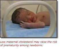 Baby in incubator - Low maternal cholesterol may raise the risk of prematurity among newborns.