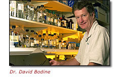 Photo of Dr. David Bodine