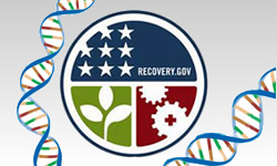 Recovery.gov logo with a D N A double-helix