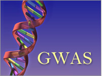 DNA double helix and G W A S