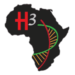 Logo for the H3Africa website