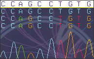Sequencing Data Image