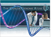 The Cancer Genome Atlas