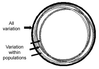 Circle Graphic