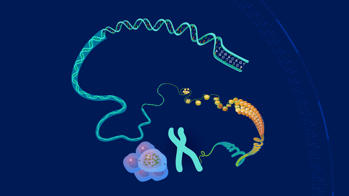 Fact Sheets About Genomics art