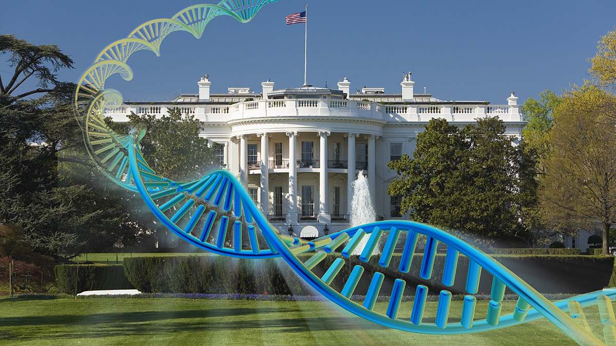 White House with a double helix