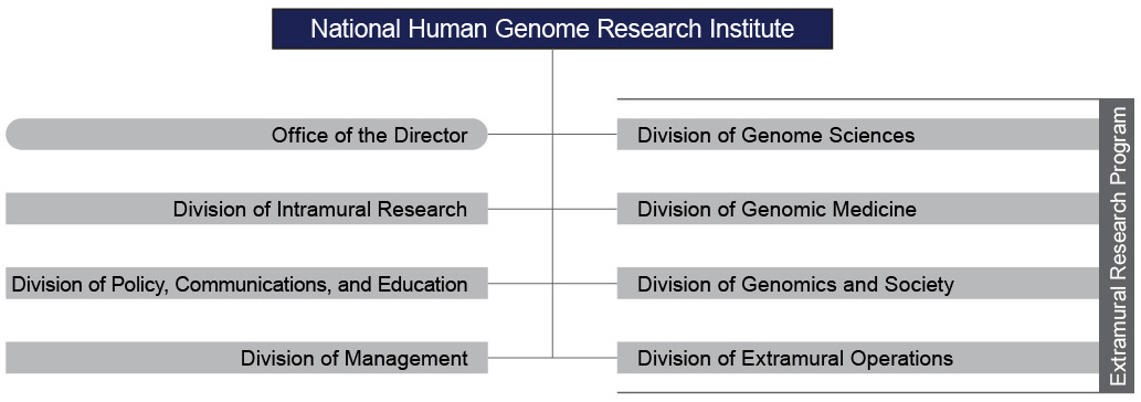 Nih Org Chart