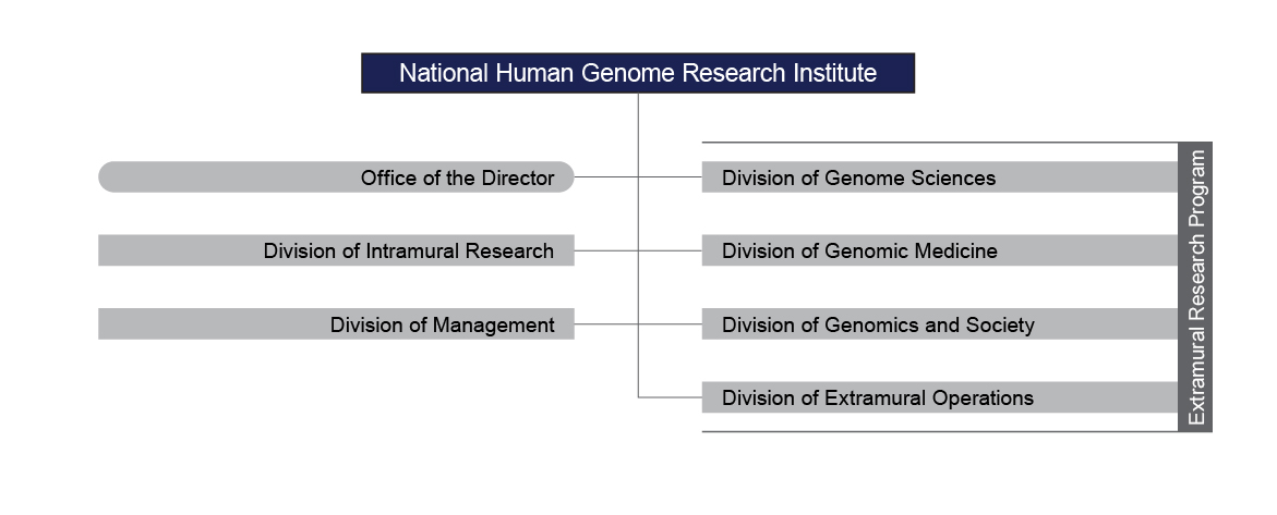 2020 NHGRI Org Chart