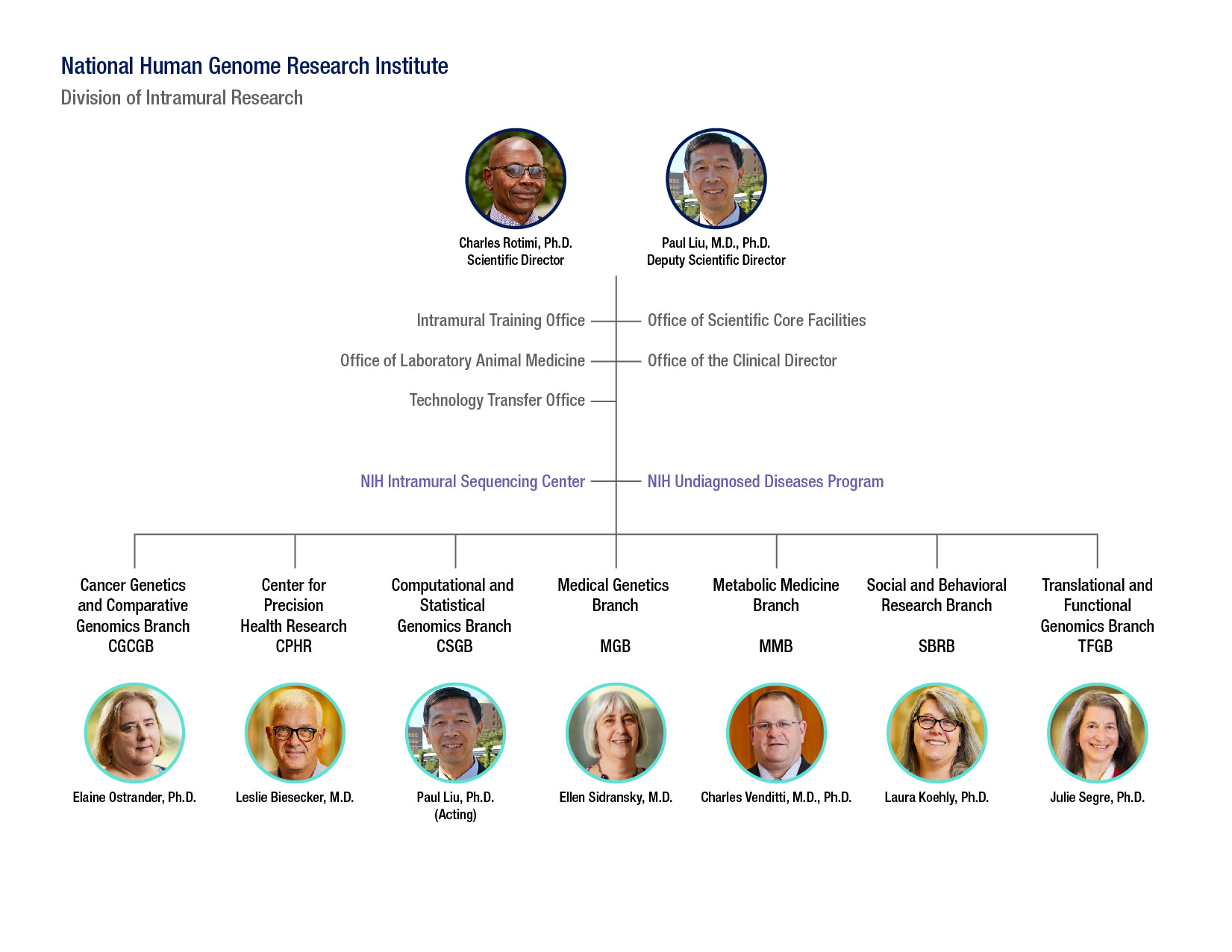 DIR Org Chart