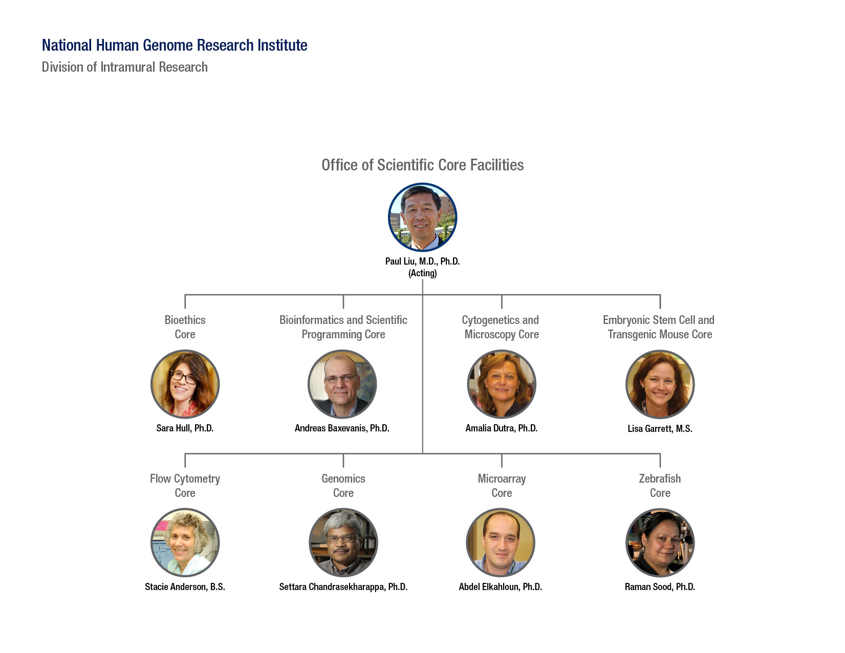 Office of Scientific Core Facilities Org Chart