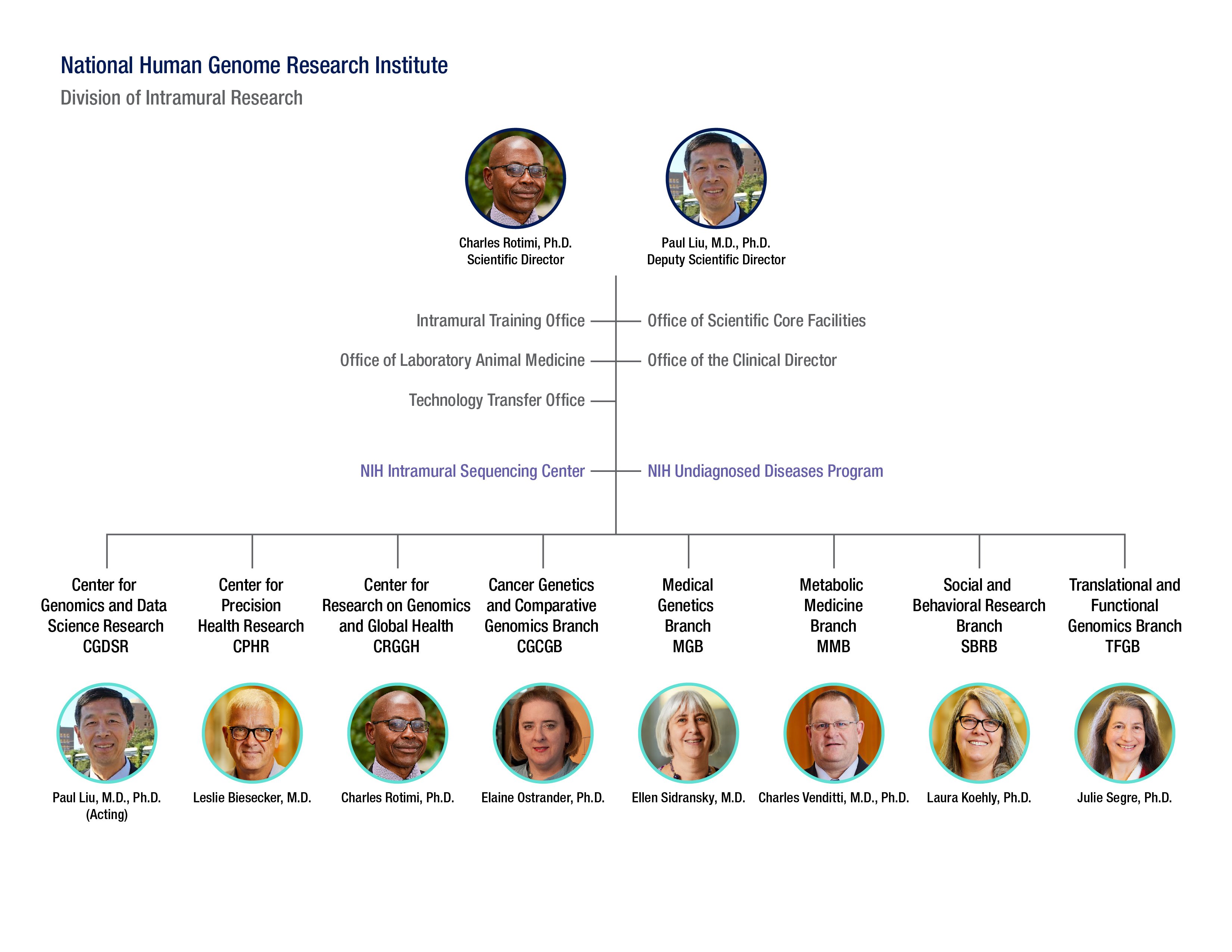DIR Org Chart