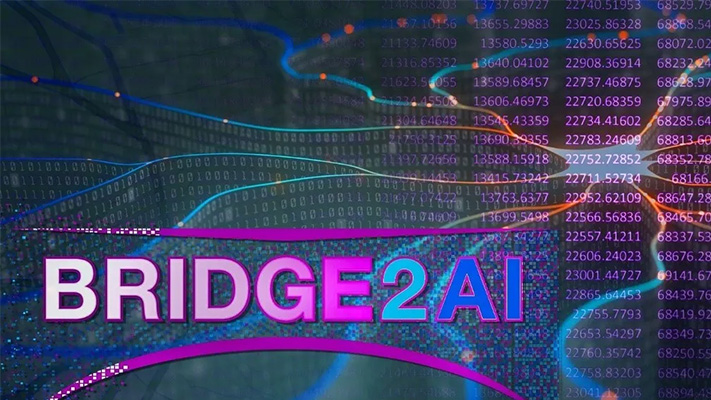 Bridge2AI