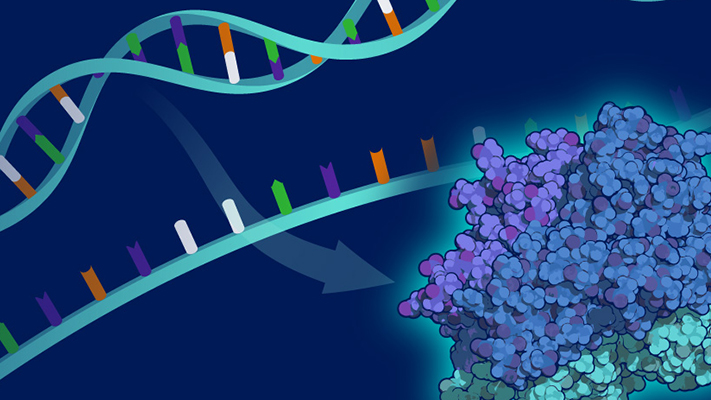 Intro to Genomics