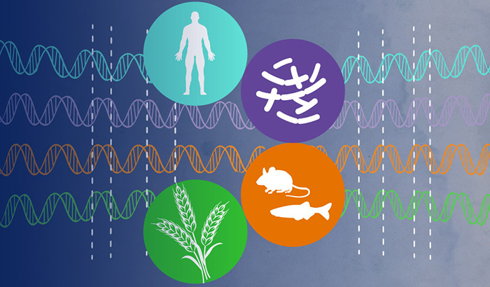 Comparative Genomics