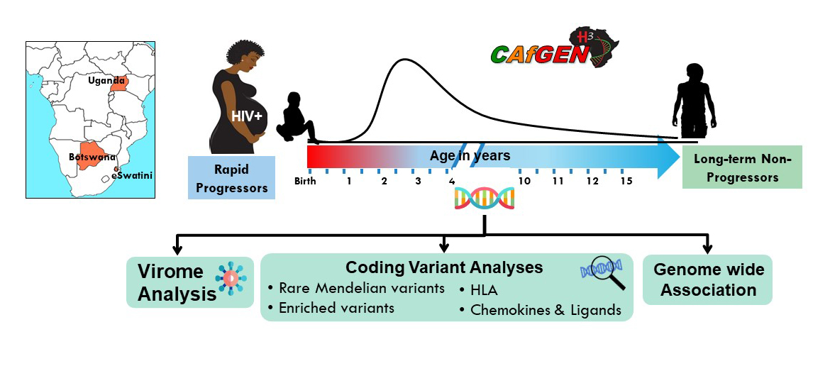 Collaborative African Genomics Network (CAfGEN)