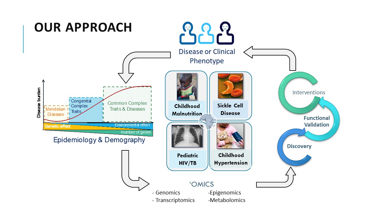 CCDGS - Our Approach diagram