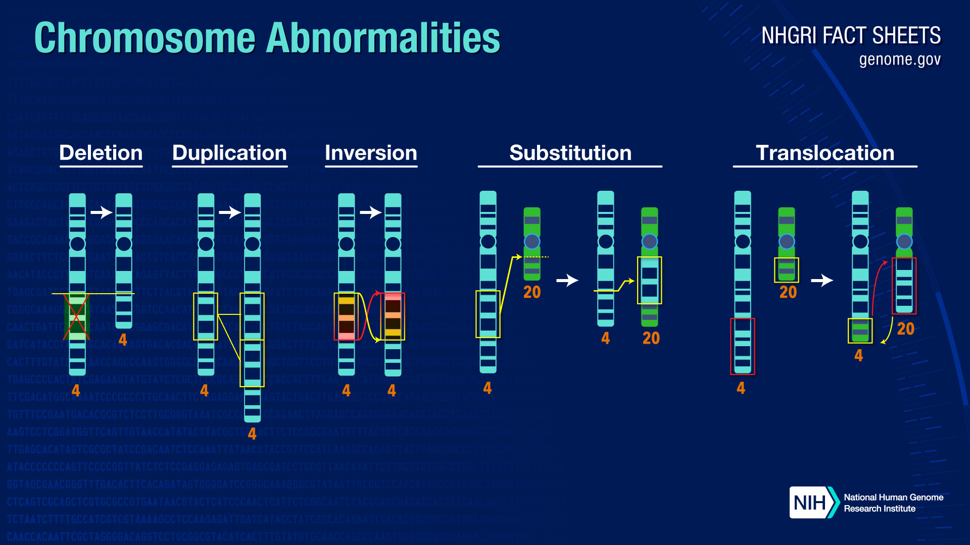 Chromosome Abnormalities