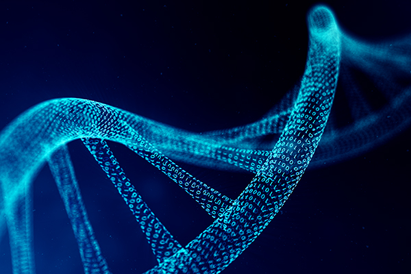 DNA binary