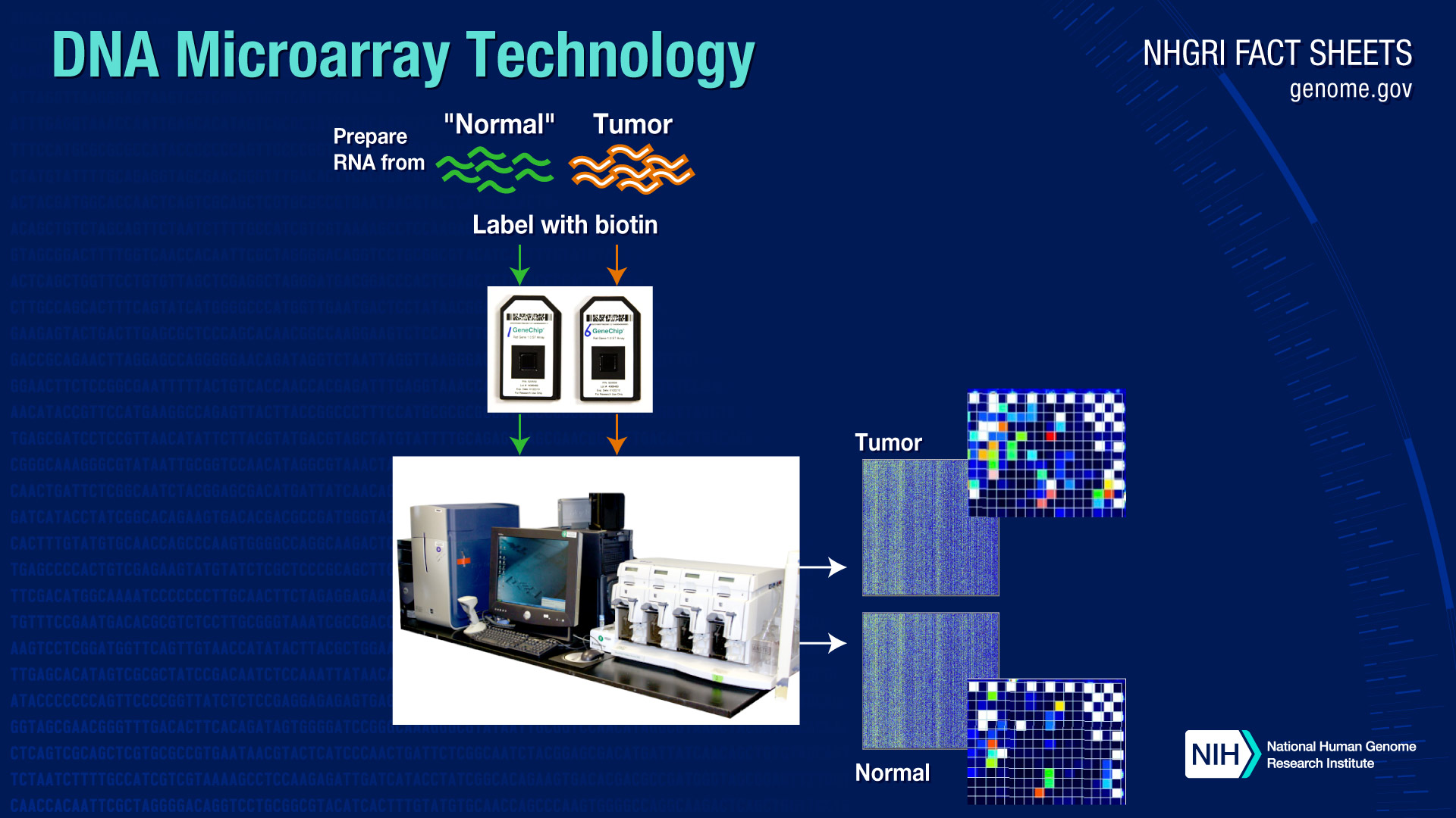 DNA microarray