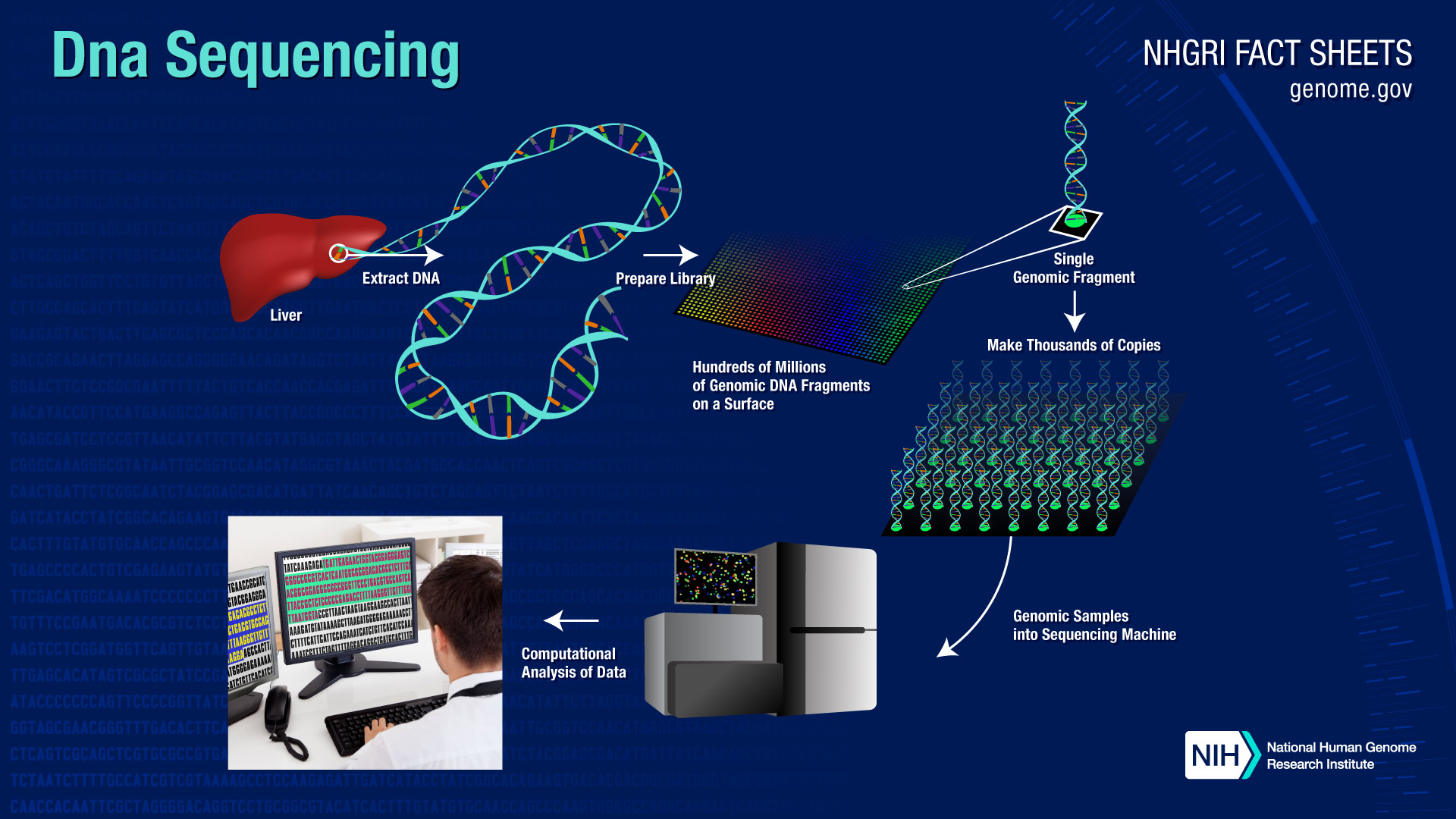 DNA Sequencing Fact Sheet