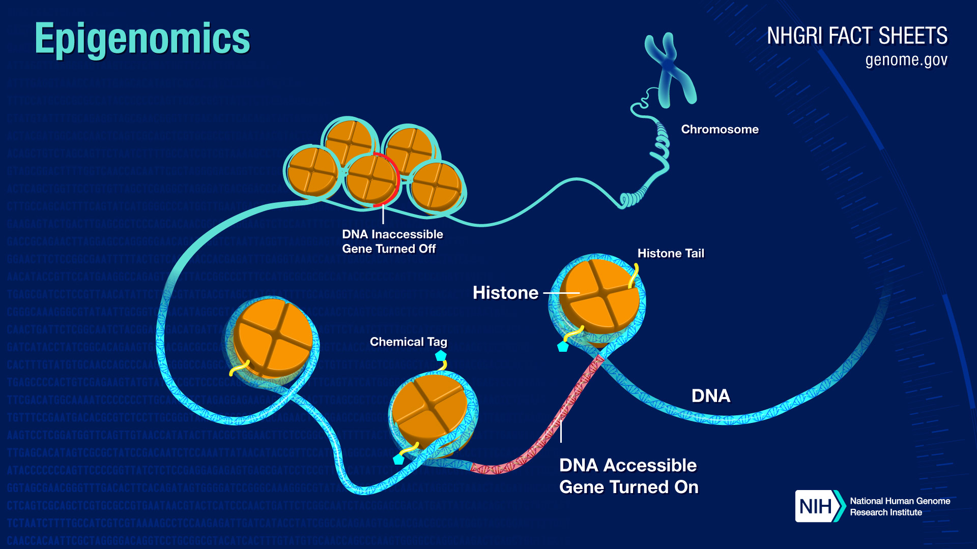 Disease Diagnosis Based on Nucleic Acid Modifications