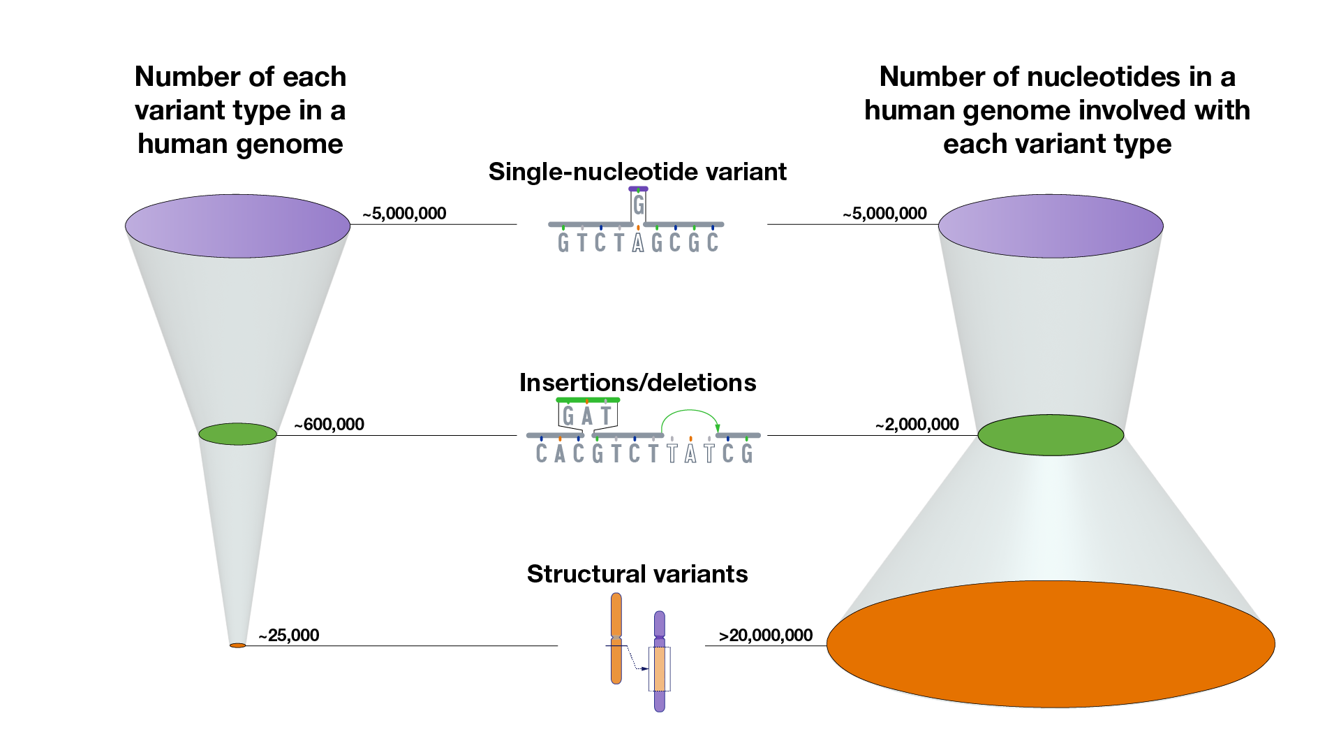 graphic showing comparison