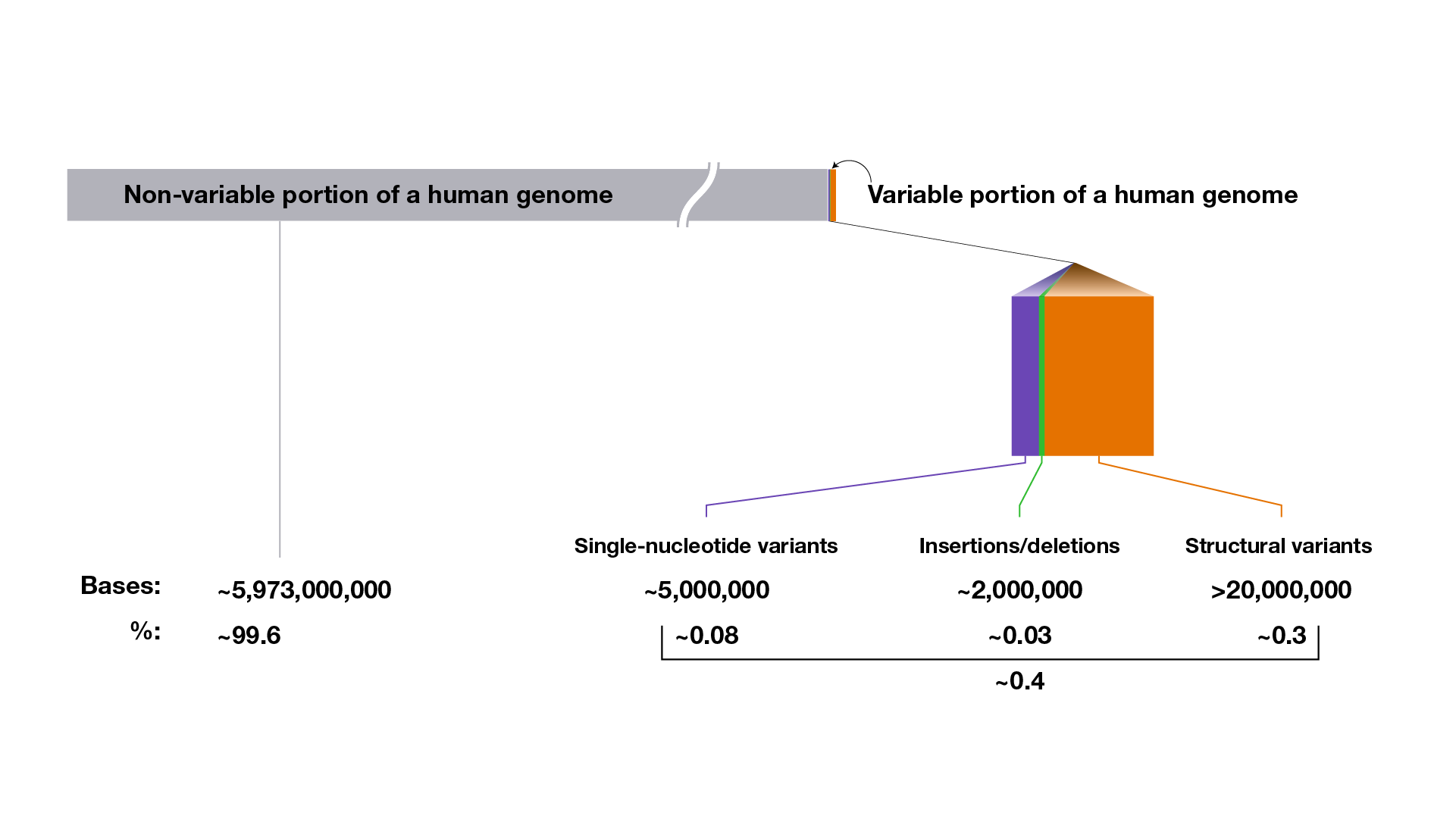 graphic showing variable v non-variable
