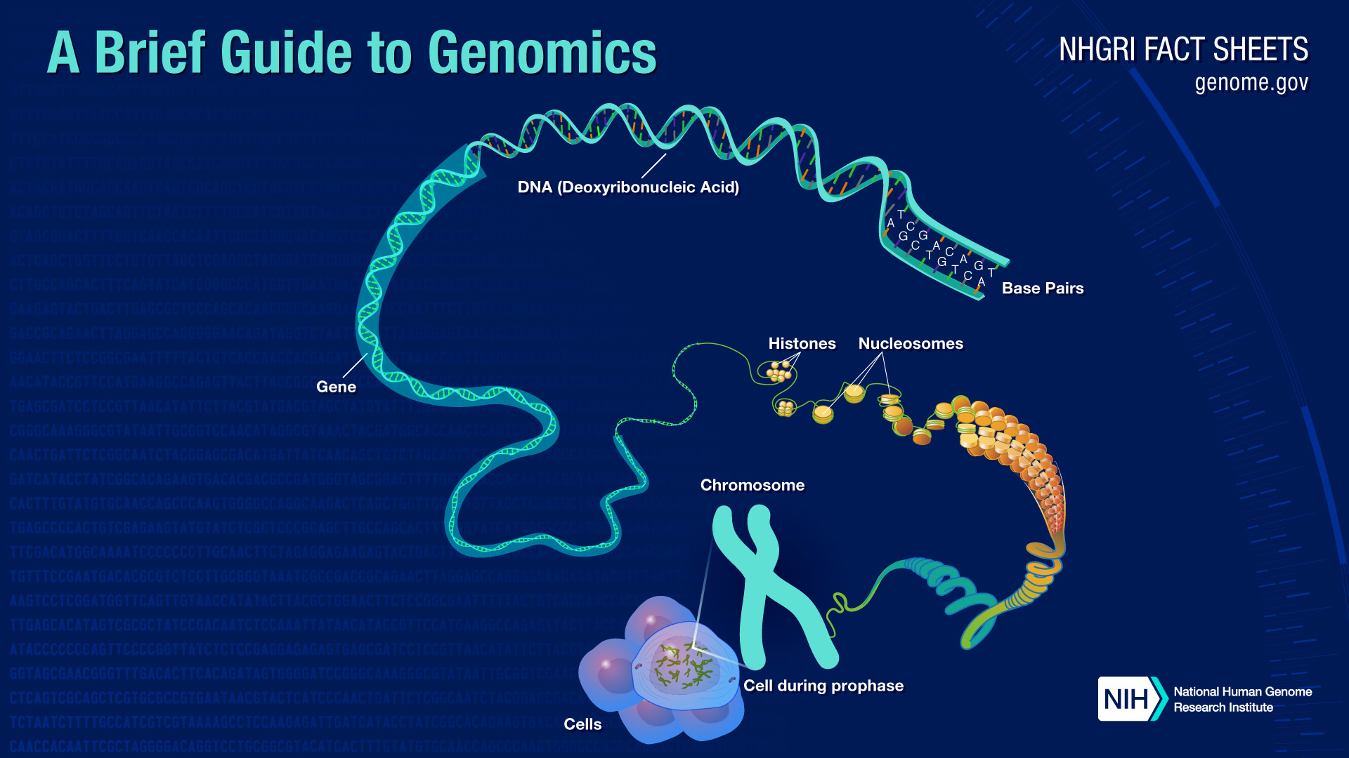 genome research