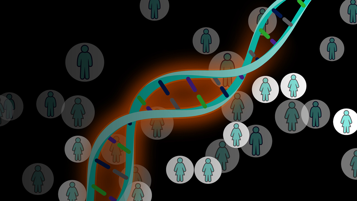 Polygenic Risk Score