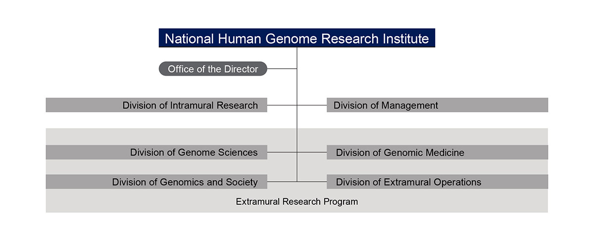 research on organization structure